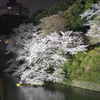 千鳥ヶ淵夜桜