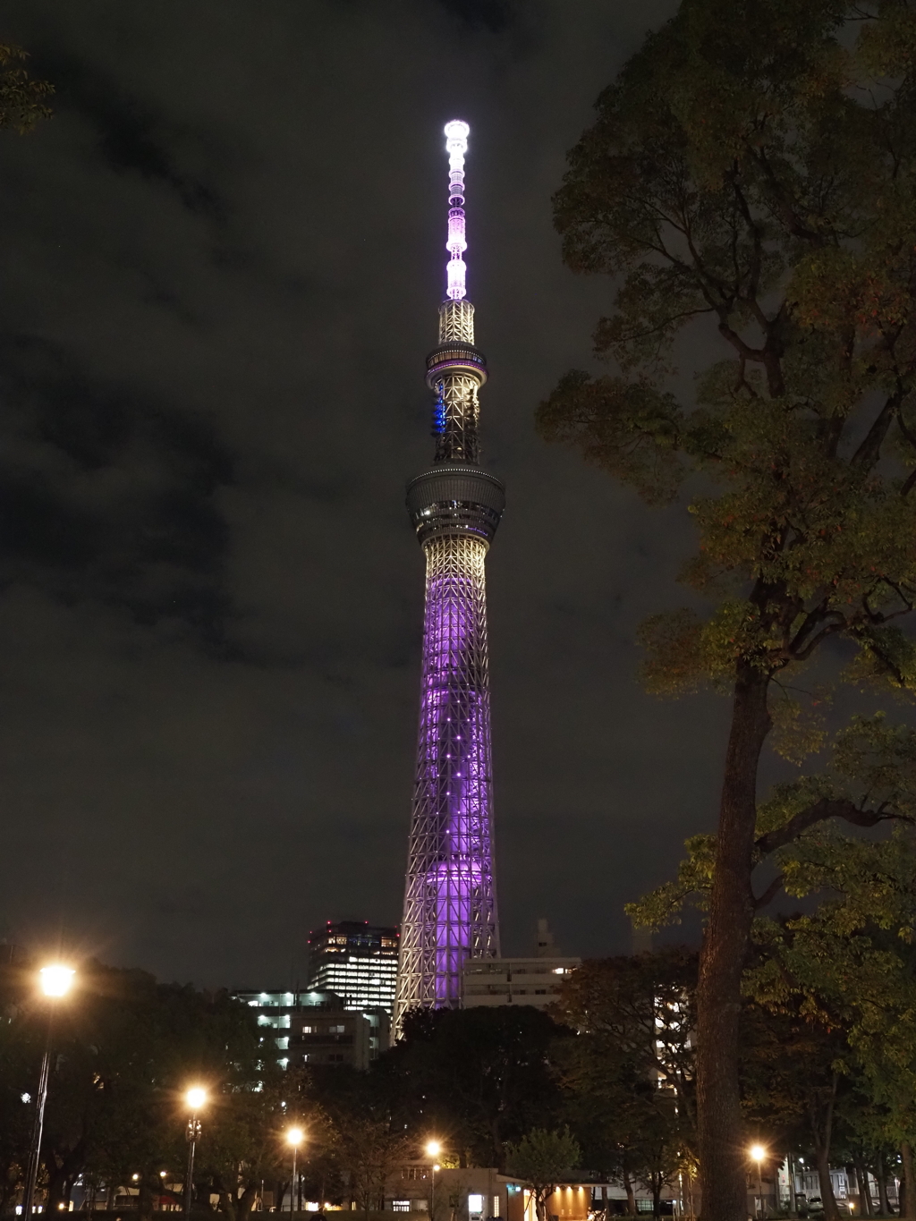 東京スカイツリー周辺その３