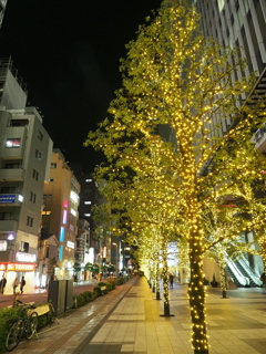 アキバのイルミその3