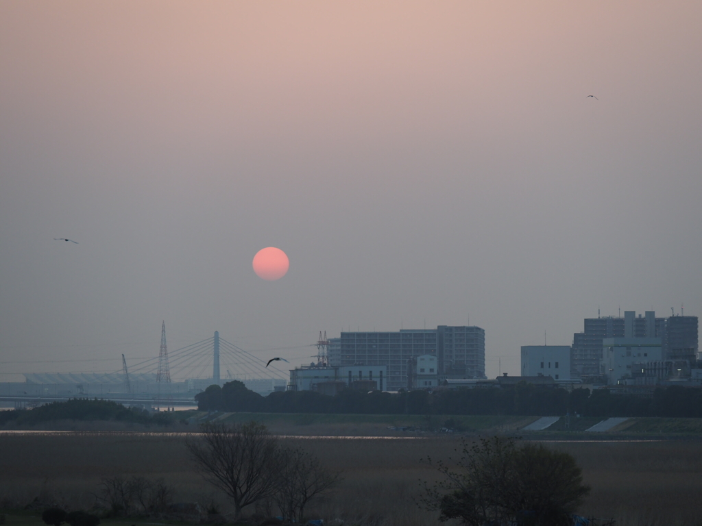 六郷橋から見た朝日3