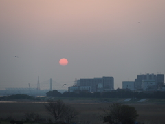 六郷橋から見た朝日3