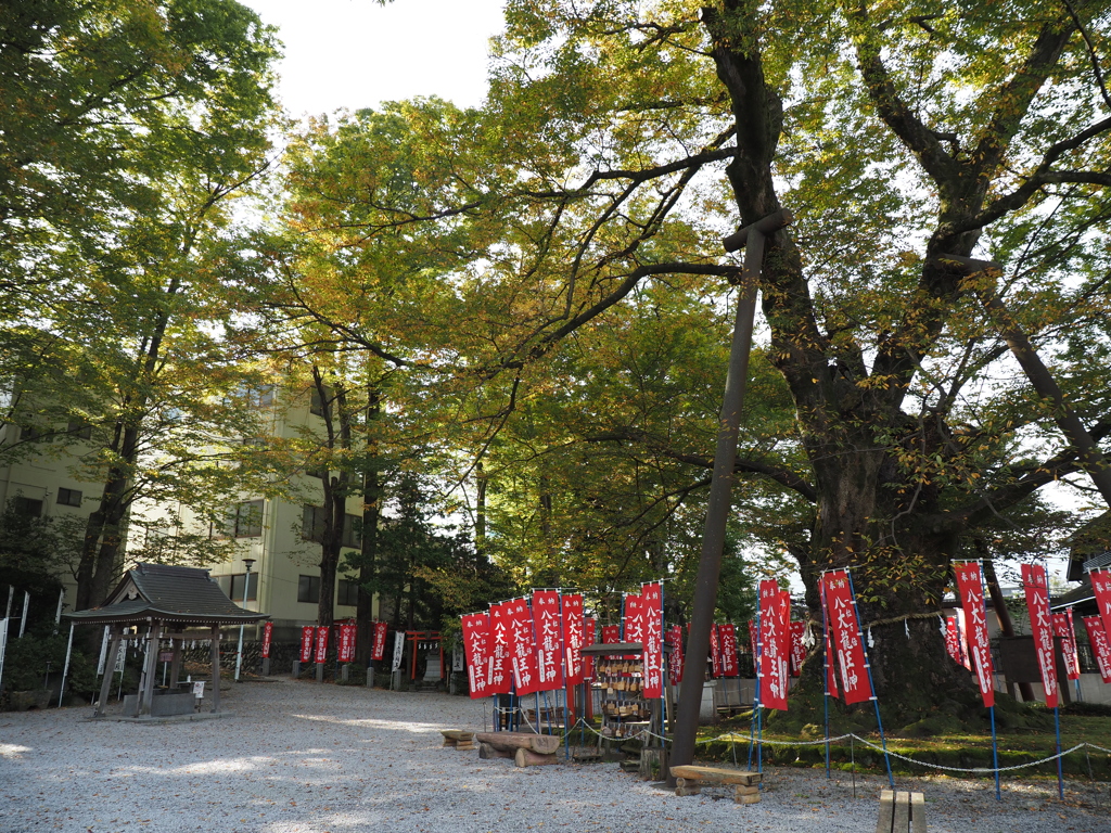 今宮神社その２