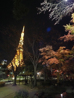 東京タワー周辺その２