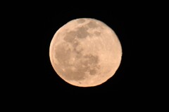 ２月の満月その２