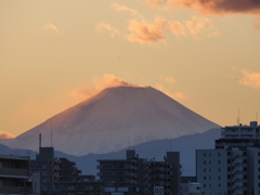 夕焼けに浮かぶ富士山
