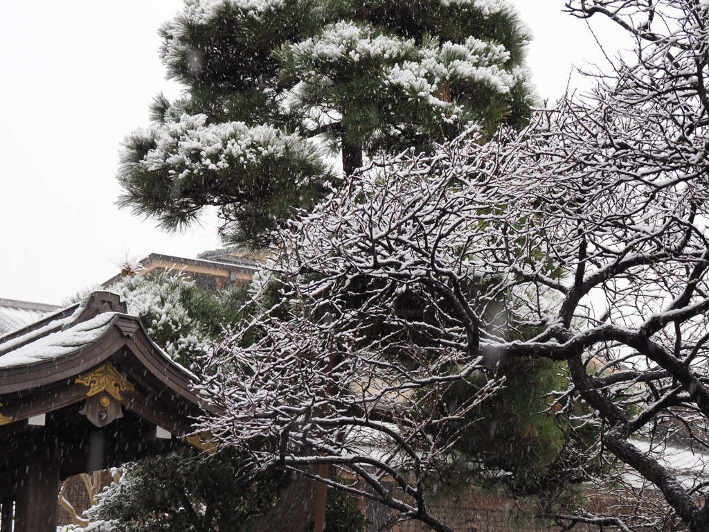 雪の東京その６