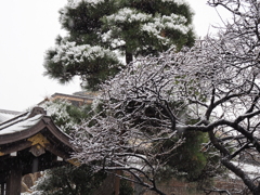 雪の東京その６