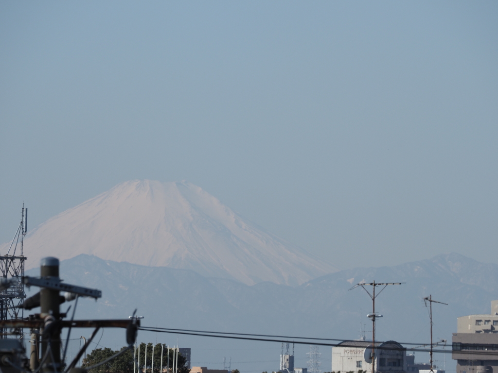 街中から見た富士山その２