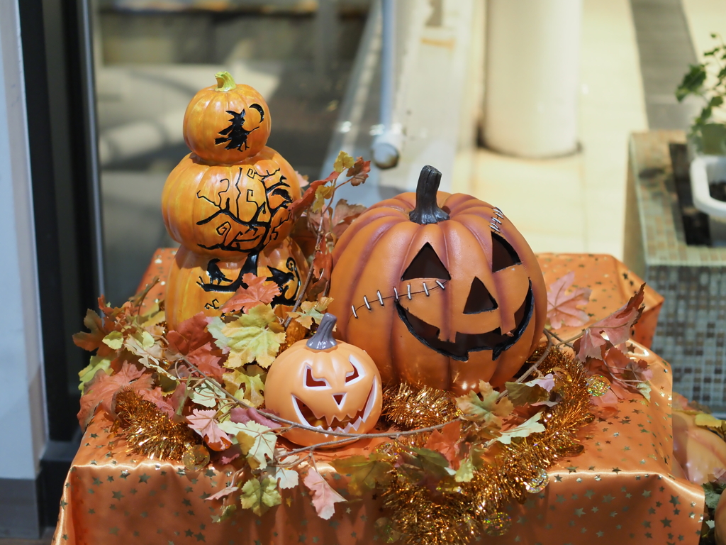 試し撮りその６