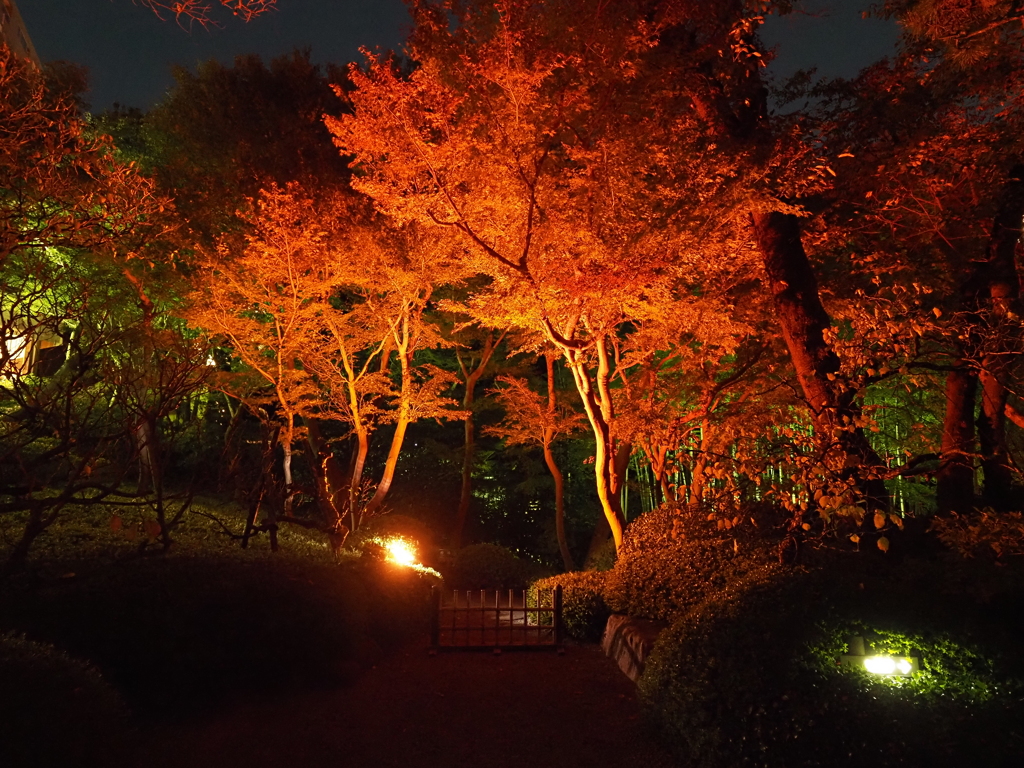 八芳園イルミネーションその７