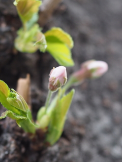 0D98ECBE-1C97-4416-8BE3-0FA813263B5F