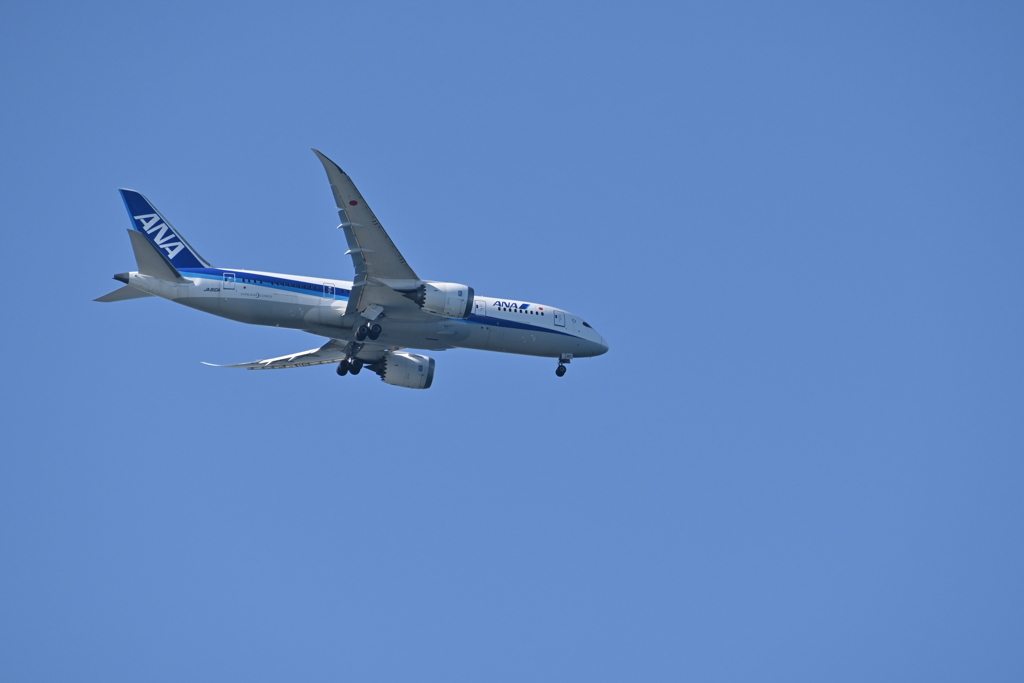 試し撮りその２