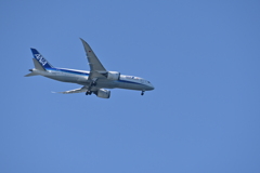 試し撮りその２