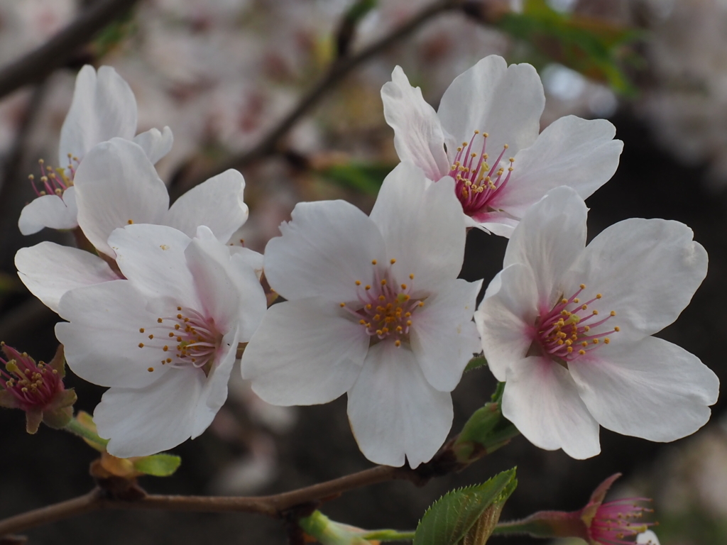 E6BDA4FA-D314-45D6-80BF-5FC55F81D385