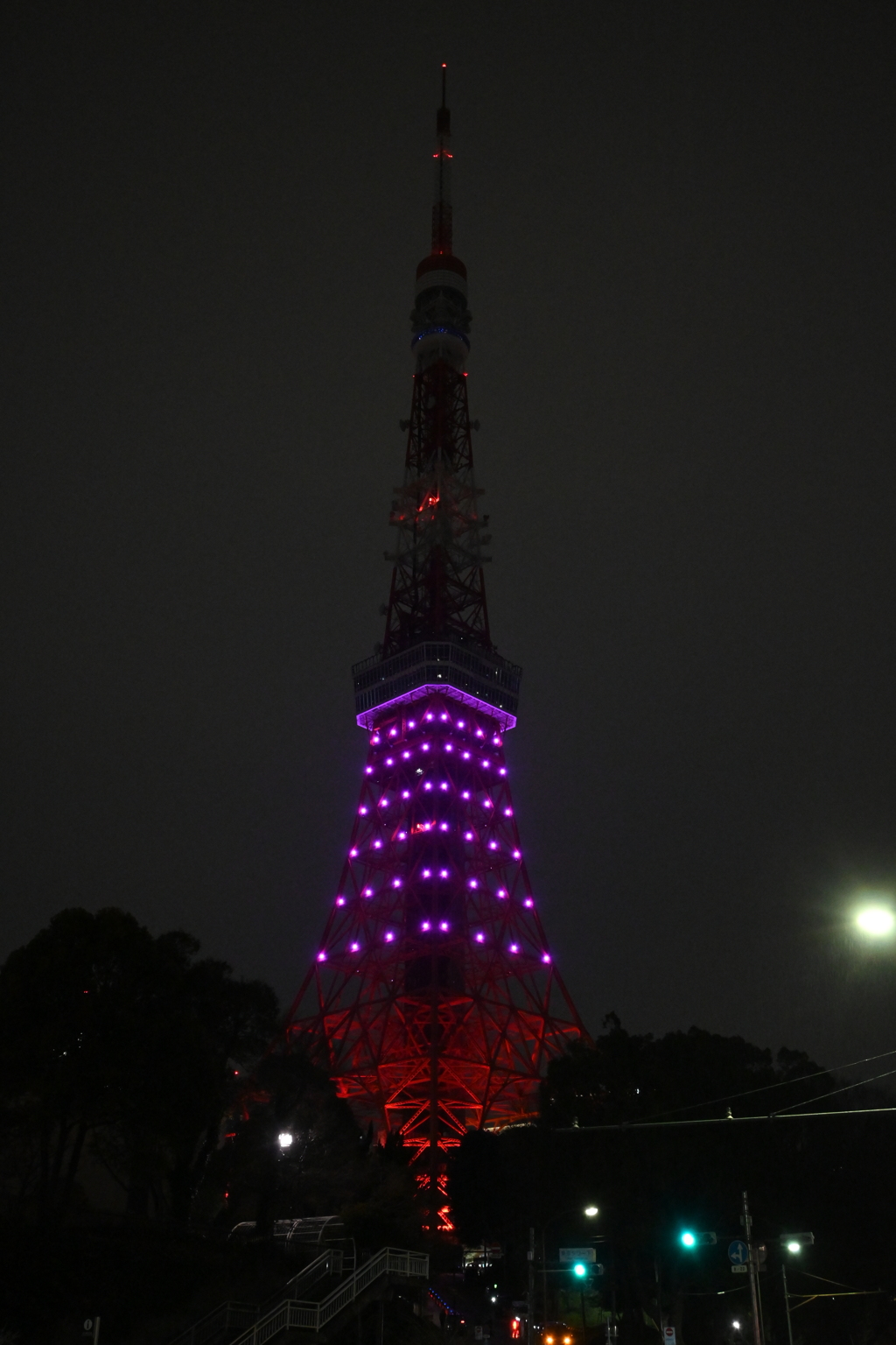 下半分だけのライトアップ