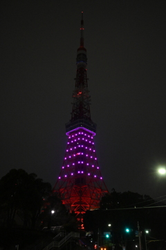 下半分だけのライトアップ