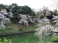 千鳥ヶ淵周辺散策その２