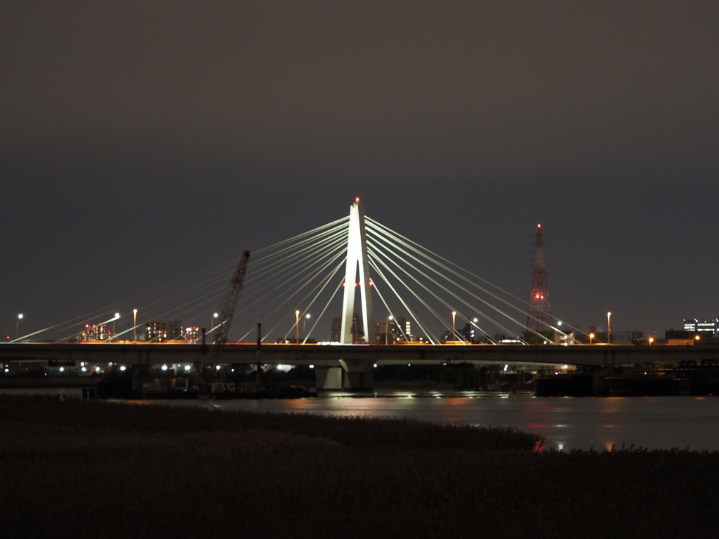 大師橋ライトアップその１０