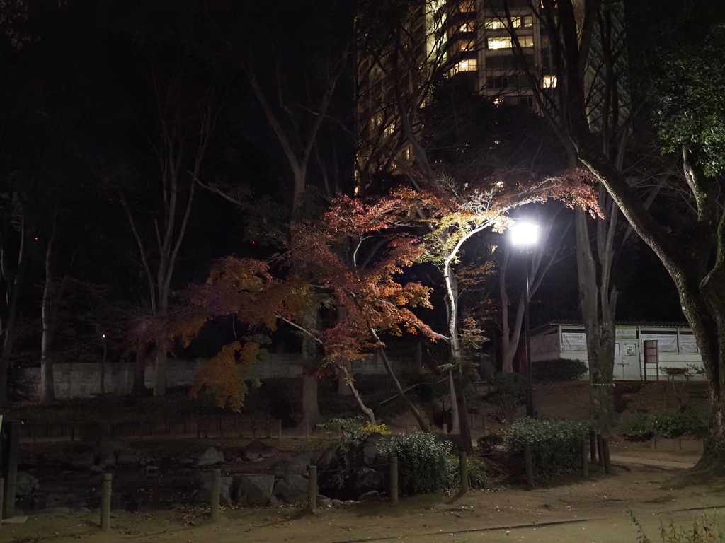 東京タワー周辺その１