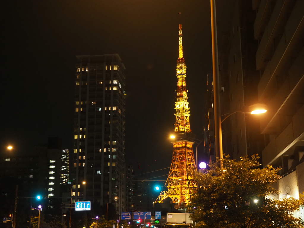 東京タワー夜景その2
