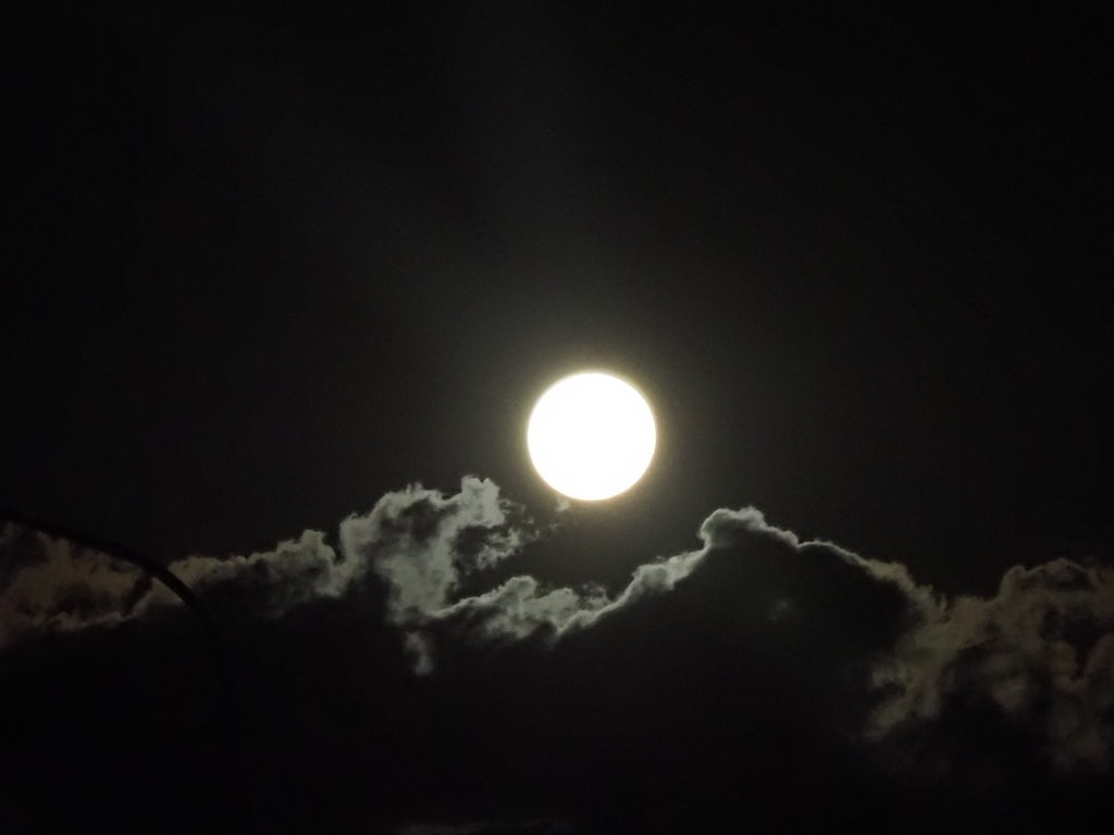 ND-100000試し撮り