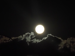 ND-100000試し撮り