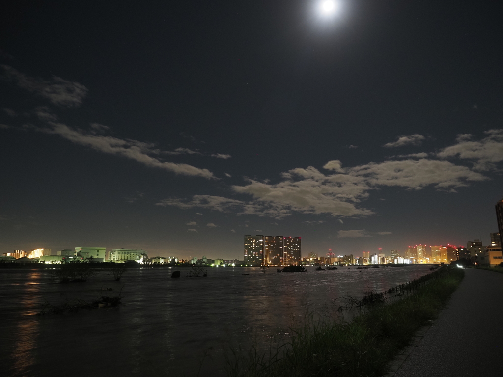 六郷水門付近から上流に向けて
