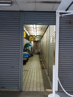 築地場外試し撮りその８