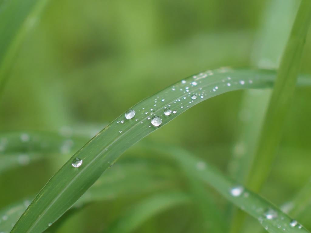 みずたまさんその３