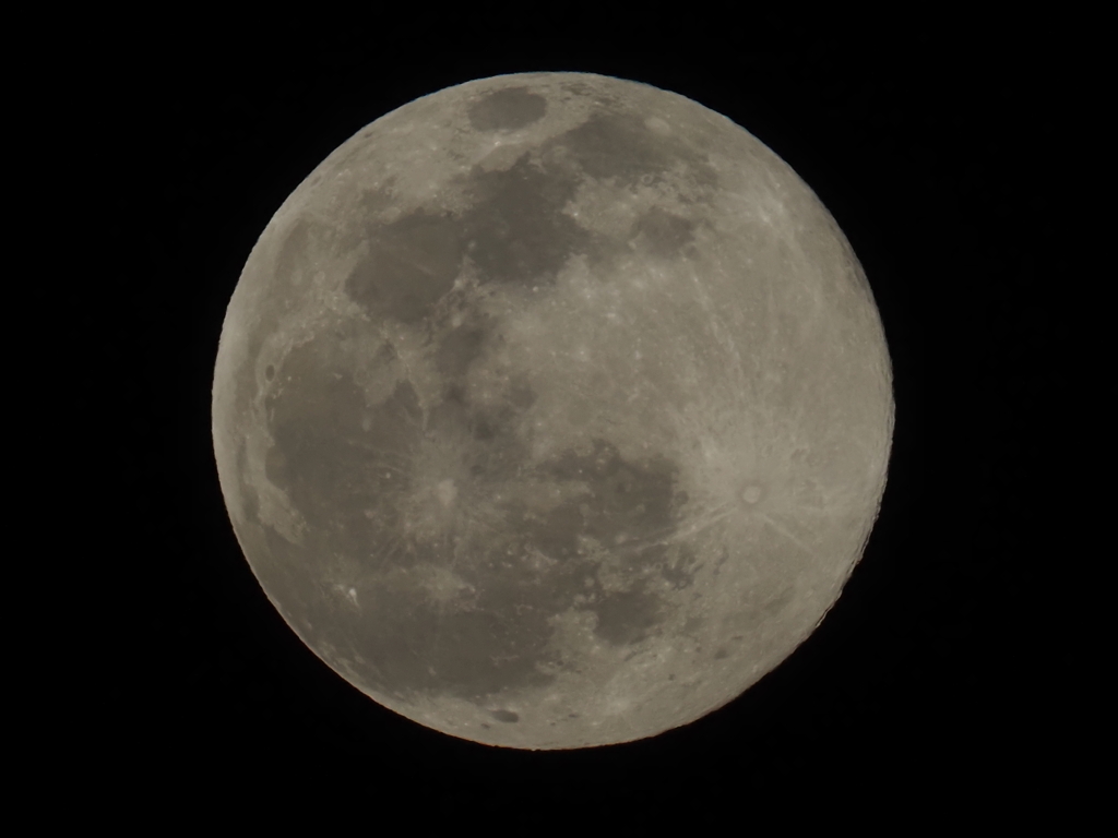 ワームムーンその２