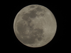 ワームムーンその２