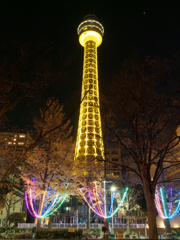 横浜夜景その11