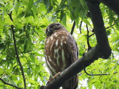 眠そうな顔してるね。