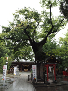 新田神社その２