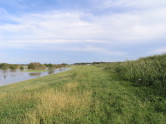 空と川と土手の写真