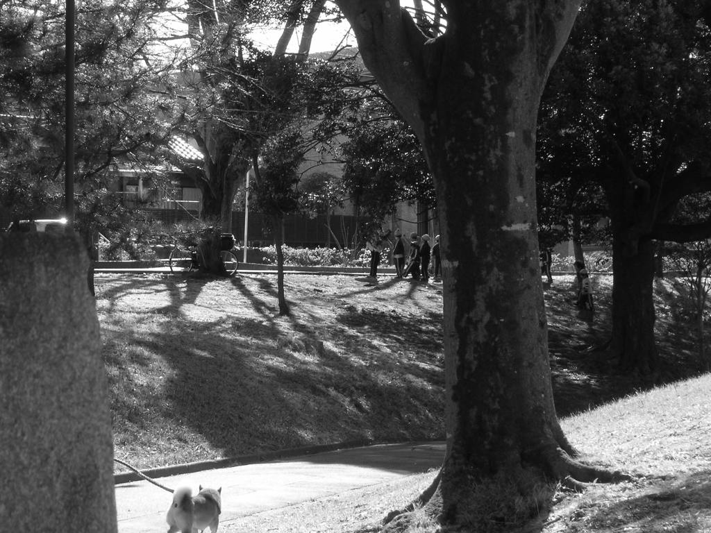 ギリギリの犬