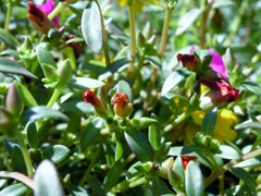 3日前に写してくれれば・・・