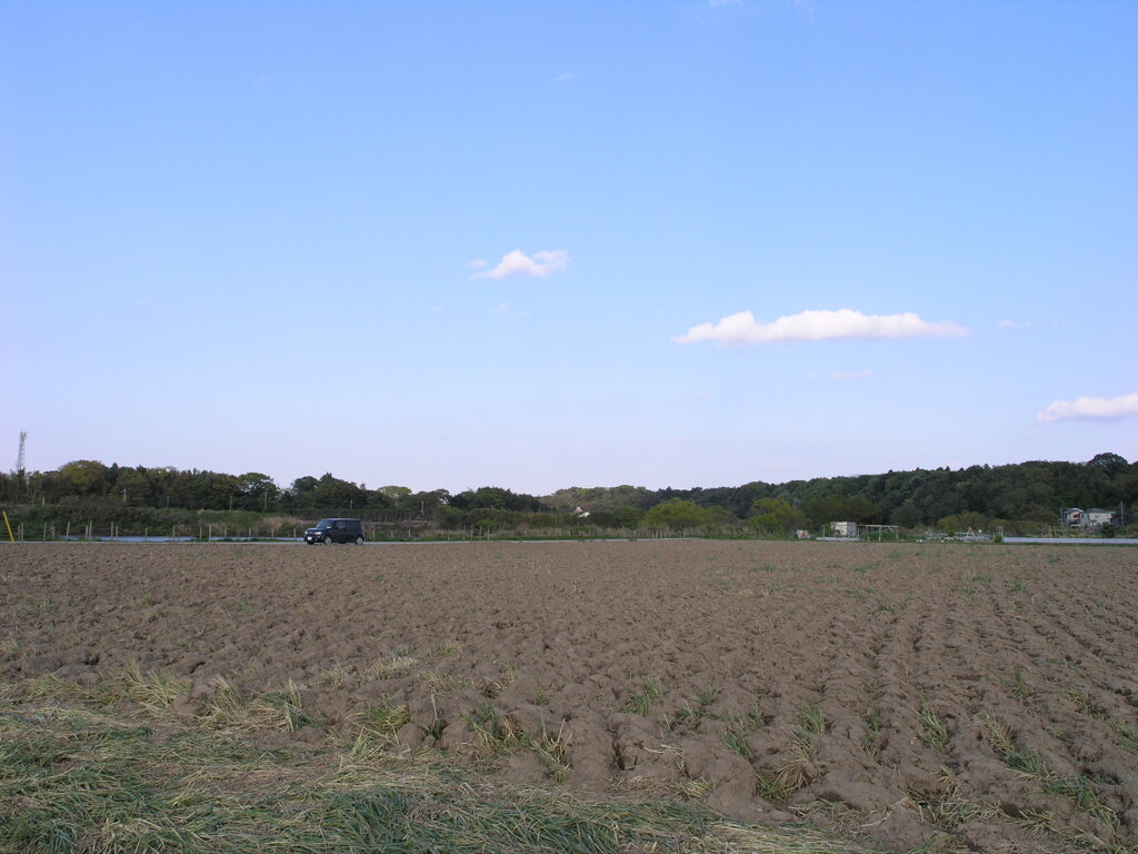 耕された畑