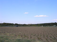 耕された畑