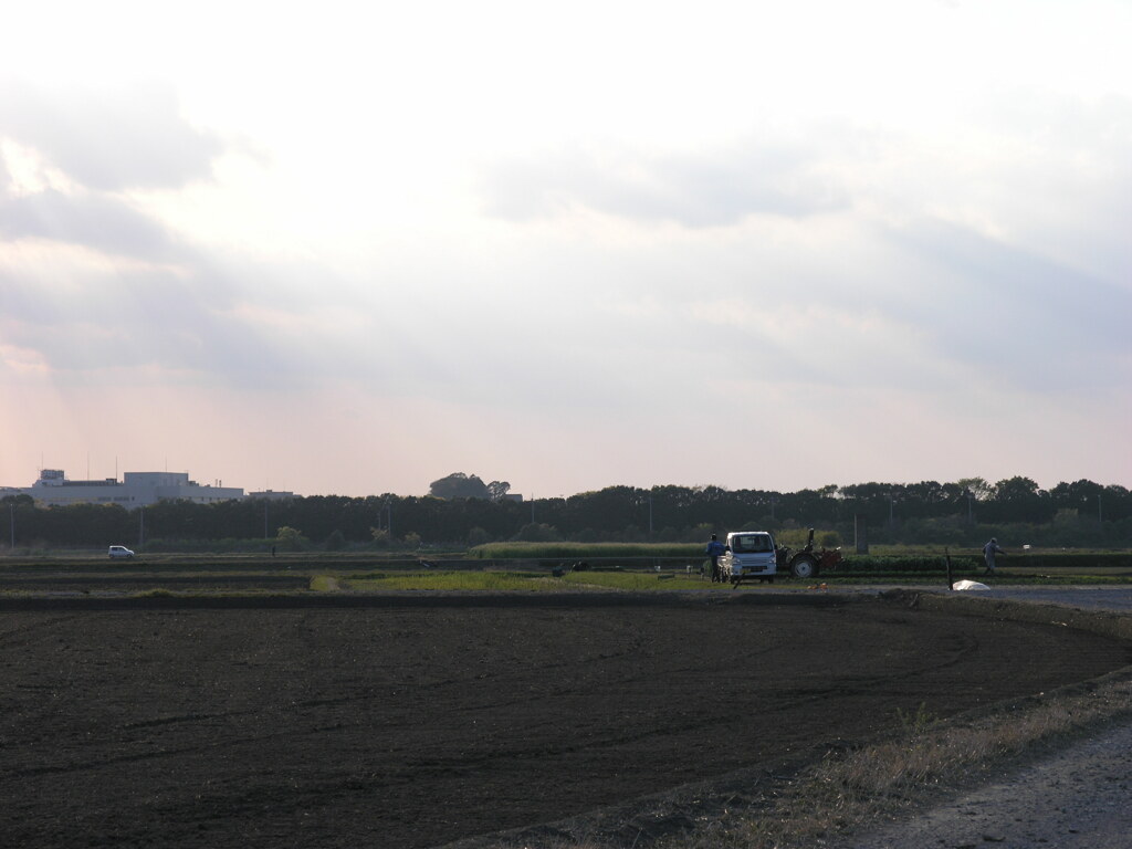 P1010331