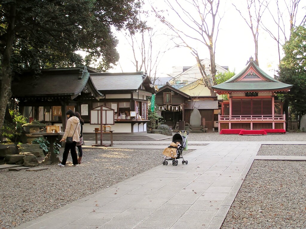 オラも見たい・・・