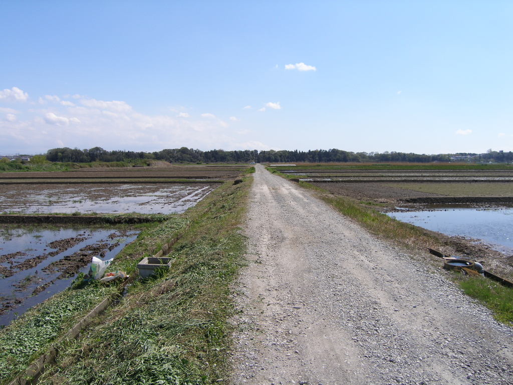 代掻き時期の田んぼ道