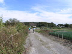 サイクリング日和♪