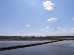 もうすぐ田植えの田んぼ