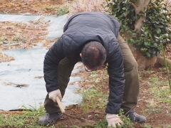 草を刈るおじさん