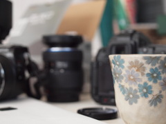 もうすぐ桜の季節、ちょっと撮影の練習