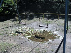 今日は乗りたくないブランコ