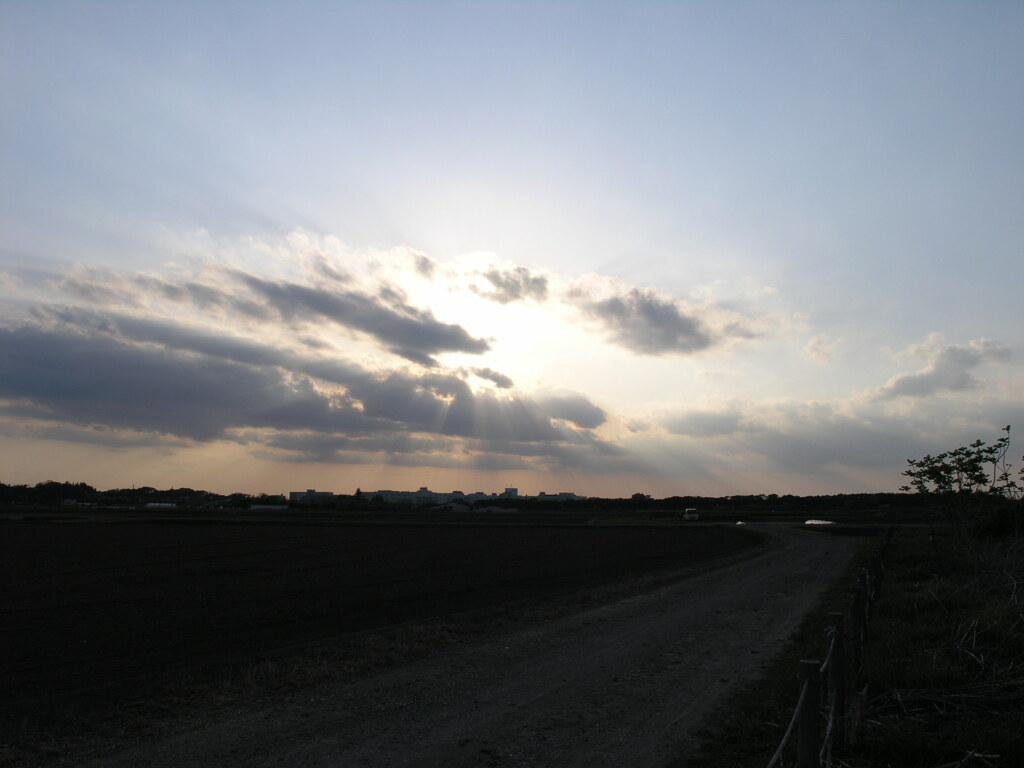 P1010342