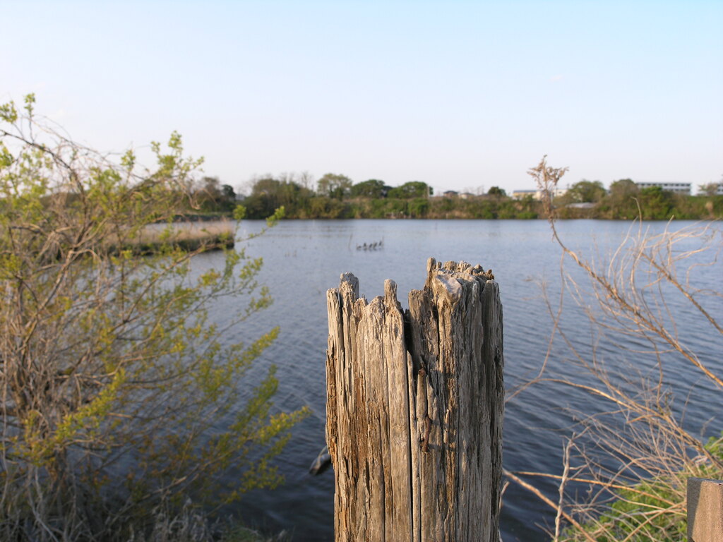 P1010318