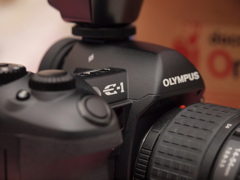 い～わ～～～ん